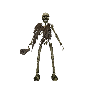 Skeleton